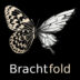 Brachtfold